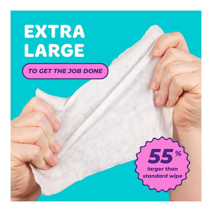Bim Bam Boo Bamboo Flushable Wipes - 3Pk/42Ct